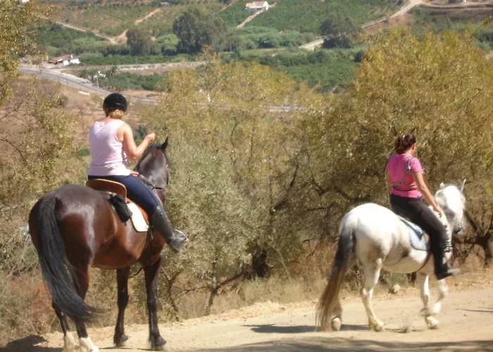 Hacienda Viejo * Guaro